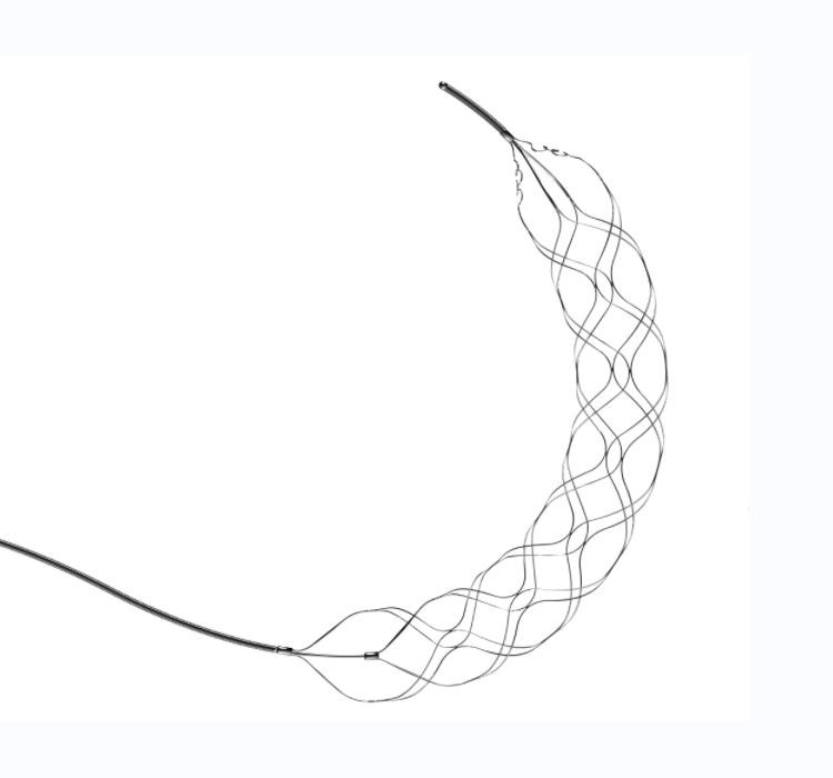 revascularization Device revascularization Device